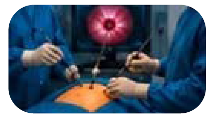 G4 Workshop